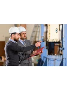 IMS Auditor (QHSE)